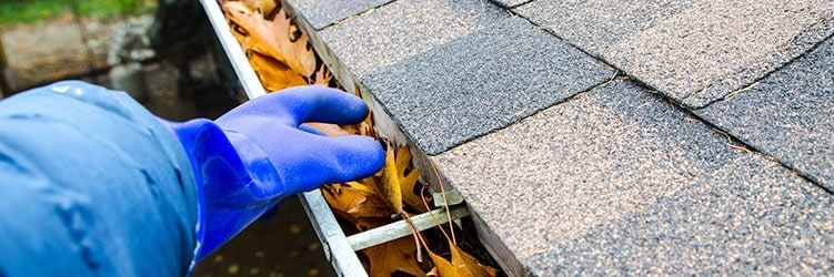 Shingle Roof Maintenance Tips Orlando Rbs Construction Roofing