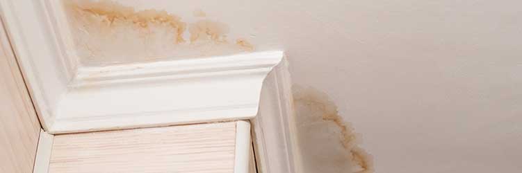 What are the interior signs of roof damage?
