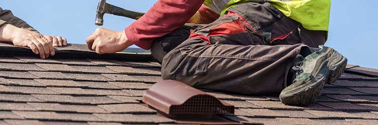 Everything you need to know about a shingle roof replacement
