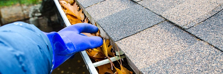 Shingle roof maintenance tips