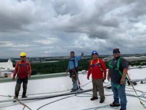 download-2024-06-18T091223.034.2406180912550