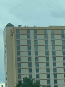 download-2024-06-18T094005.248.2406180940550