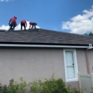 download-2024-06-18T113653.927.2406181137043