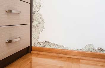 water-damage.2406141341178